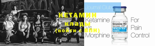 стафф Вяземский