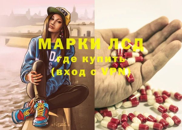 стафф Вяземский
