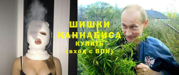 стафф Вяземский