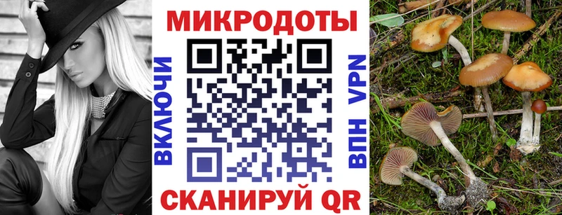 Купить Лаишево Псилоцибиновые грибы Psilocybine cubensis